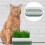 Cat Grass Container Pp Green Pet Supplies Elegant 1 Set 4