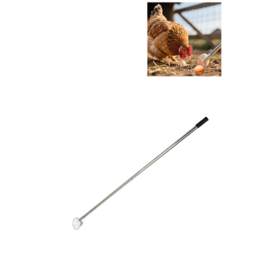 Stainless Steel Nut Picker Tool 42 Inch Long Handle Lightweight TimeSaving Silver