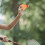 12 pelotas bádminton plástico resistente, colores surtidos 2