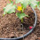 30Stk Gartenbefestigungen Für Unkrautsperrvlies 9