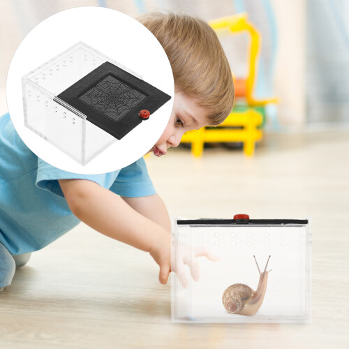 Recipiente Transparente Para Aranhas E Insetos Com Painel De Acrílico 2