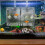 1Breeding Box En Garnalen, Makkelijk Schoon Te Maken 8
