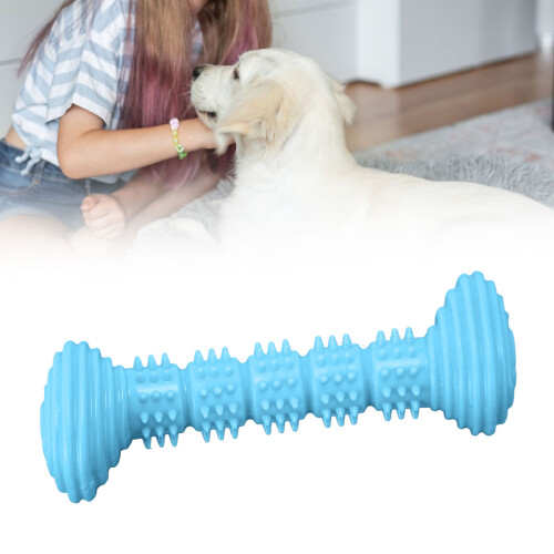 Cute Blue Bone Rubber Chew Toy for Small & Medium Dogs