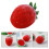 Felting Set Rot Wolle Bastel Frucht 1 Set 7