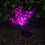 2 Stück Solar Gartenleuchte Pvc Simulation Pflanze Led Außenleuchte 4