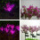 2 Stück Solar Gartenleuchte Pvc Simulation Pflanze Led Außenleuchte 9