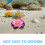 Artificial Flowers Plastic Blue Decorative Floating 70pcs 4in 6