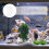 Fish Feeder Floating Circle For Clear Aquarium Tank 4