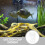 Fish Feeder Floating Circle For Clear Aquarium Tank 5