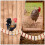 1 Kippenladder Kippenschommel Vogels 9