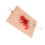 Trauma Wound Simulation Module Trauma Wound Skin Module for Training Exercises Wound Packing Task Trainer 7