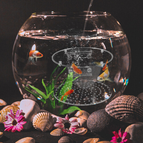 Clear Acrylic Fish Isolation Box Breeding Tank for Aquarium Use 2
