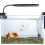 Clear Acrylic Fish Isolation Box Breeding Tank for Aquarium Use 5