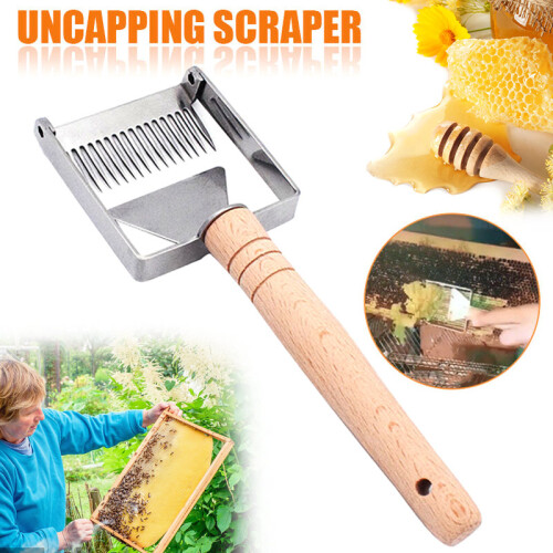 Bee Hive Scraper - Stainless Steel Beekeeping Tool