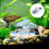 Beach Miniature House Decoration Models Micro Landscape 6