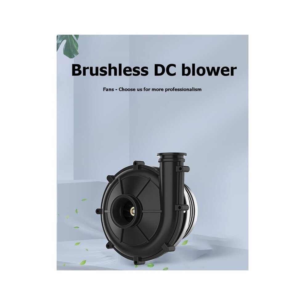 Wm7060 Ventilator Centrifugal Brushless Air Blower High Pressure Turbo Fan For Cooling Equipment Air Purifying Mask 24V 6032031526093