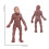 Simulation Human Evolution Models Primitive Figurine Growth Cycle Human Action Figures Educational Toys for Children 8