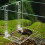 (S) Adjustable Turtle Basking Ramp with Clasp 1