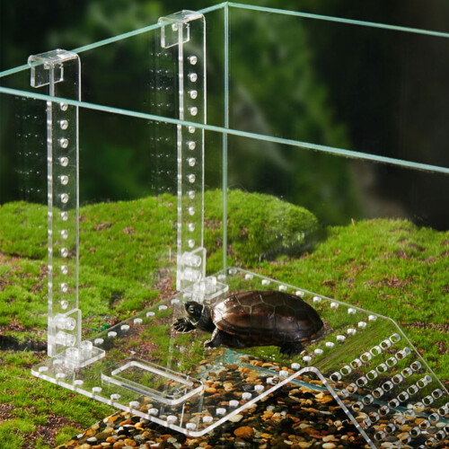 (S) Adjustable Turtle Basking Ramp with Clasp