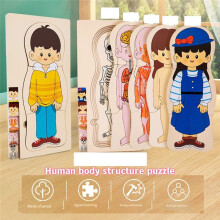 Wooden Human Body Structure Puzzle Children'S Multi-Layer Plane Puzzle Early Childhood Education Toys,Girl