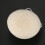 2X Face Natural Konjac Cleaning Sponge - White 4