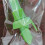 Manual Fruit Atomize Kitchen Cooking Tools Fruit Squeezer Manual Fruit Atomize Applicable Kitchen 5