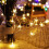 Decorative Flower String Lights, 33ft 80 LED Blossom Lamp for Home and Garden 7