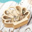 Wooden Seashell Display Case for Coastal Room Decor, Beach Decor 3