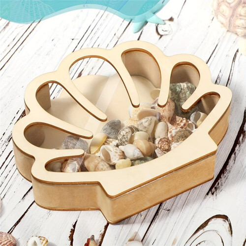 Wooden Seashell Display Case for Coastal Room Decor, Beach Decor 2