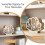 Wooden Seashell Display Case for Coastal Room Decor, Beach Decor 7