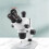Stereo Microscope PL10X Wide Angle Eyepiece Eye Point 30mm Diopter Adjustable for   Replacement 4