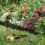 Garden Lawn Edging - 60 Pack Landscape Border Flexible Interlocking Edging Plastic Palisade Fence DIY Decorative 6