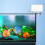 APP Fully Automatic Aquarium Fish Tank Feeder Timer Wireless Mobile Phone Remote Control Fish Food Machine 5