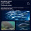 Visual Anchor Fish Underwater Ultra-High-Definition with Moisture Temperature Depth-Sensing Fish Finder Camera 220 5