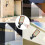 B-Solar Outdoor Lights-Motion Sensor Solar Powered Lights3 Modes-with Remote Control-Wall Security Lights 5