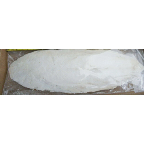 Two extra large sterilised cuttlefish for birds 2