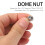 M6 Thread Dia Dome  304 Stainless Steel Cap Acorn Hex Nuts 20Pcs 5