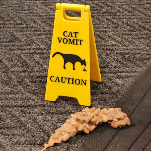 Placa de Vômito de Gato, Placa de Piso Molhado de Vômito de 4 Polegadas, Placa de Aviso de Vômito de Gato, Placa de Decoração de Quintal 1