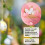 12 Pack 3 Inch Easter Foam Egg White  Egg  Egg Foam Natural Polystyrene Egg Foam Handmade Egg 6