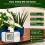 Automatic Drip Irrigation Kit,15 Potted Indoor Houseplants Support,Indoor Automatic Watering System for Plants 3