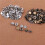 50Pcs Silver + 50 Pcs Bronze 10mm Snap Button Metal + Tool Set for Leather Handbags 2