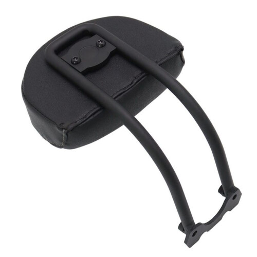 Motorcycle Modified Passenger Rear Backrest Kit for  Sportster S 2021- 2