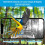 Bird Feeder 5MP HD AI Bird Recognition Solar Feeder Low Power Bird Feeder 3