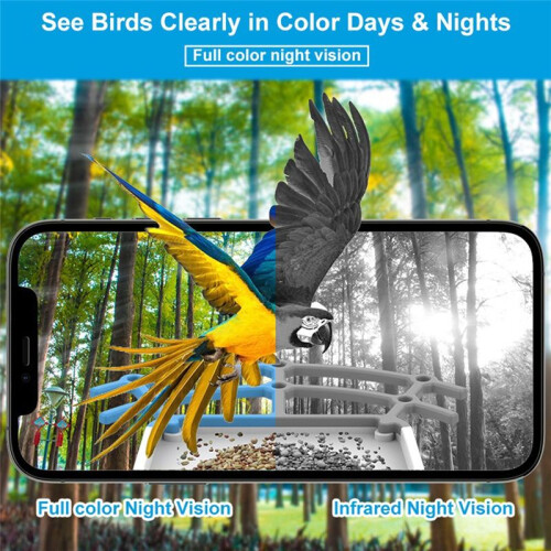 Bird Feeder 5MP HD AI Bird Recognition Solar Feeder Low Power Bird Feeder 2
