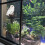 LED Solar Eule für Garten 2