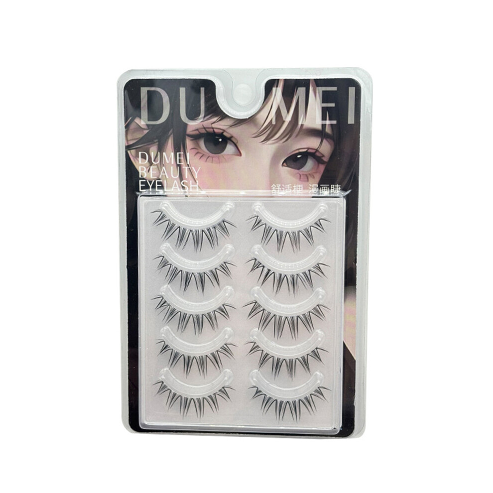 Roc-Electron (A19) Natural False Eyelashes For Daily Use