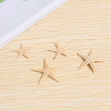 Petite Étoile de Mer Étoile Coquillage Artisanat de Plage 0.4 Pouces-1.2 Pouces 180 Pcs