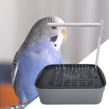 (Rain shower set) Bird Shower Fountain for Parakeets & Cockatiels