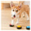 Green Recordable Talking Button with Voice Recording for Interactive Play and Answer Buzzer 4