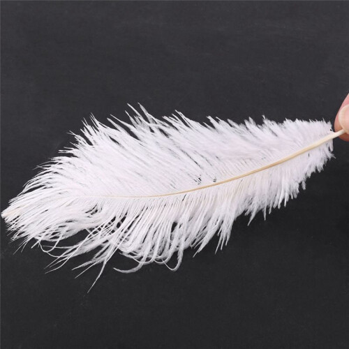 40 Pieces White Natural Ostrich Feather 20-25cm Wedding DIY 1